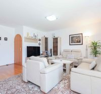 Living room in a family house with comfortable sofas, decorative plants, and a wooden-patterned floor.