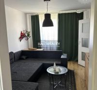Living room in a family house with a black couch and a wooden decor floor.
