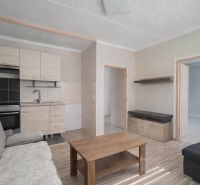 Living room with wood-patterned flooring and a kitchenette in a studio apartment.