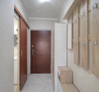 Entrance hallway with wooden decor, shoe cabinets, and coat racks in a studio apartment.