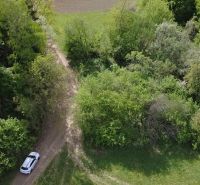 A car on a forest road in the recreational area of Streženice, Streženice surrounded by greenery.