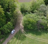 Meadow road surrounded by trees on recreational plots in Streženice, Streženice.
