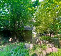 Garden and plants surrounding the family house.