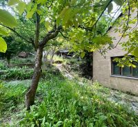 The garden of a family house on Búdková Street in Bratislava - Staré Mesto with surrounding greenery.