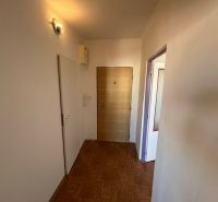 Entrance hallway in a 2-room apartment with a wooden decor floor and bright lighting.