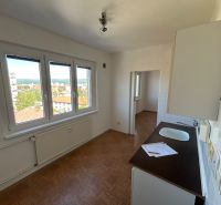 A kitchen in a 2-room apartment with light walls and a floor with a wood decor.