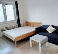 A one-room apartment with a bed, sofa, and table; floor with wooden decor.