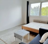 Interior of a 1-room apartment with a sofa, table, and bed.