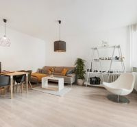 Living room in a two-room apartment with a light wood-patterned floor, modern furniture, and decorations.