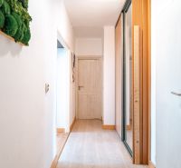 Hallway of a 3-room apartment with a wood-patterned floor and a built-in wardrobe.