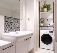 A bathroom in a 3-room apartment with a sink, a washing machine, and a plant on a shelf.