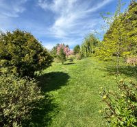 The garden of a family house in Veľké Chlievany with a lawn and trees under a blue sky.