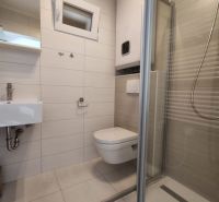 A bathroom in a family house with a sink, shower corner, and wall-mounted toilet.
