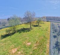 A garden with fruit trees by a family house in Svinia under a blue sky.