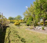 The garden at the family house on B. Tablica Street, Dudince, full of green trees and shrubs.