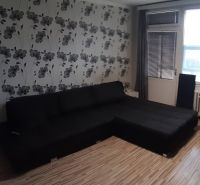 Living room in a 2-room apartment with floral wallpaper and a wooden decor floor.