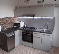 A kitchen in a 2-room apartment with a wooden decor floor and a stone wall.