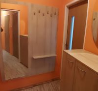 Orange hallway with a mirror, hooks, and a floor with a wooden decor in a 2-room apartment.