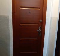 Brown entrance door in a 2-room apartment with security fittings.