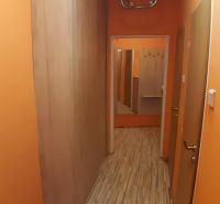 A hallway with orange walls and a wood-patterned floor in a 2-room apartment.