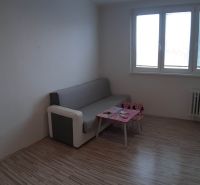 Living room in a two-room apartment with a couch and a table, wooden decor flooring.