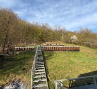 Beehives on a slope surrounded by forest in the area of a family house in Štós.
