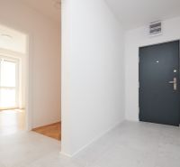 Entrance hallway in a 3-room apartment with direct light and a wooden decor floor.