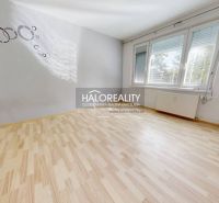 A room with a wooden decor floor, gray walls, and large windows in a studio apartment.