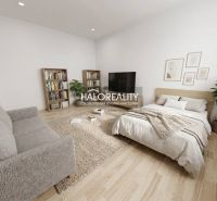 Living room in a studio apartment with a sofa, bed, and wood-patterned flooring.