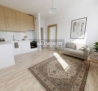 Living room with a kitchenette in a studio apartment, floor with wood decor.