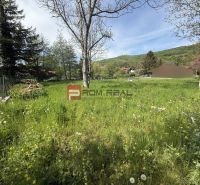 Garden in Borinka on a plot Borinka - living, surrounded by green trees and grass.
