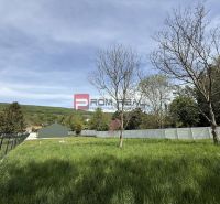 Greenery and trees on residential plots in the village of Borinka with a view of nature.
