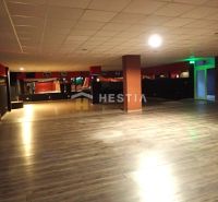 Spacious commercial premises with wooden flooring and ceiling lights for rent.
