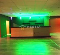 Space with lighting, suitable for business, commercial premises, green and red walls.