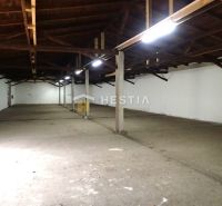 A space with wooden beams and columns, suitable for production facilities or storage.