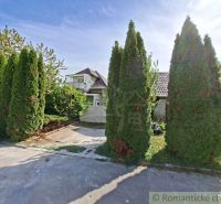 A family house in Orešany surrounded by tall thuja trees and a paved driveway.