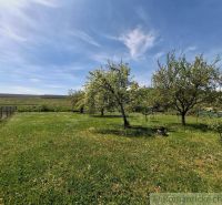 A spacious garden with fruit trees by the family house in Mýtna.