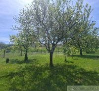A garden with fruit trees by a family house in Mýtna on a sunny day.