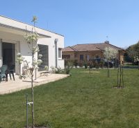 PXL_20260411_122021702.jpg