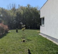 PXL_20260411_121623982.jpg