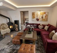 Living room in a family house with a fireplace, a burgundy sofa, and pleasant decorations.