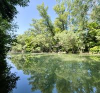 A river surrounded by greenery in Gabčíkovo, reflection of trees on the water surface.