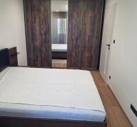 Bedroom with a large wardrobe, bed, and wooden decor flooring in a 3-room apartment.