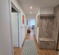 A hallway in a 3-room apartment with a wooden decor floor and a carpet with a geometric pattern.