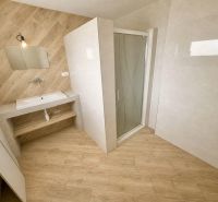 A bathroom in a family house with a wooden decor floor and a shower corner.