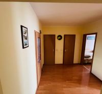 A hallway with a wooden decor floor in a 3-room apartment, several doors on the sides.