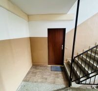 Entrance door to a 3-room apartment, staircase, and walls with pastel shades.