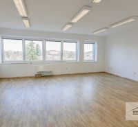 A spacious office with a wood-patterned floor and large windows.