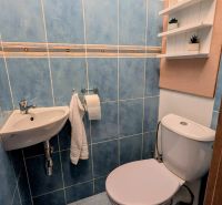 A bathroom with blue tiles and a toilet in a 2-room apartment, shelves on the wall.