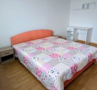 Bedroom in a 2-room apartment with a bed, a desk, and a wooden decor floor.